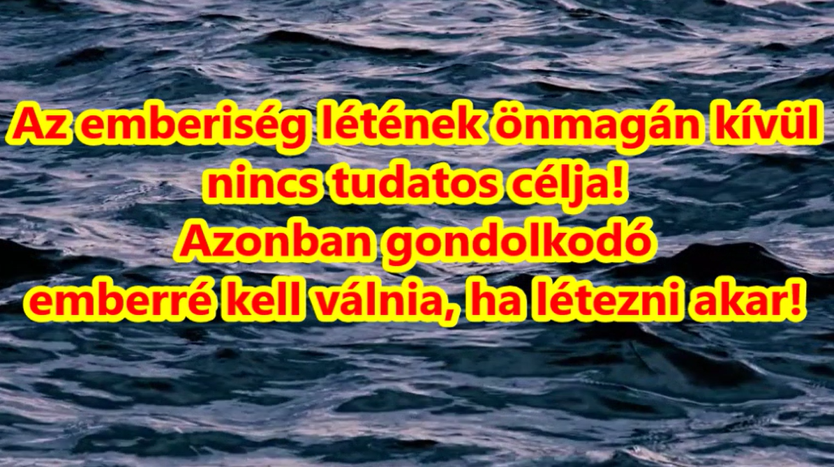 Az ember a földön a gondolkodó anyag – SaLa világnézete
