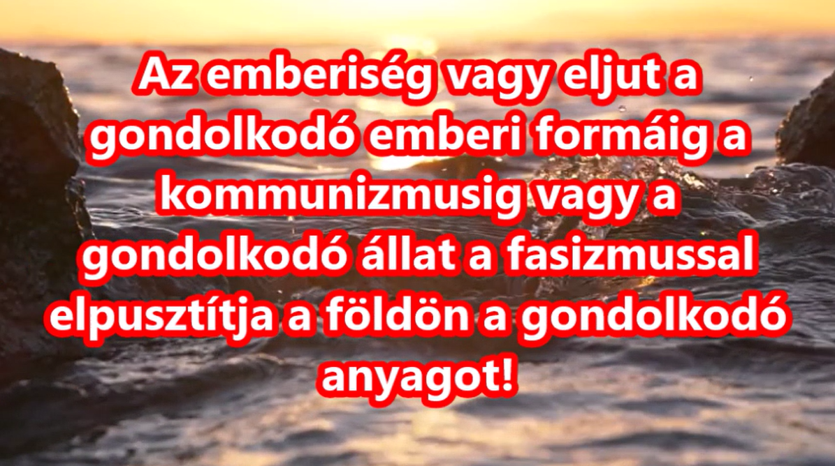 Gondolkodó állat – SaLa világnézete