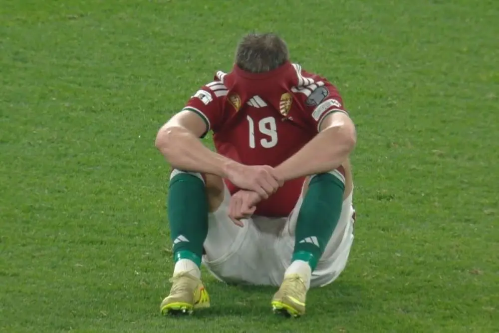 A meccset és a jellempróbát IS! -ELVESZÍTETTÜK!