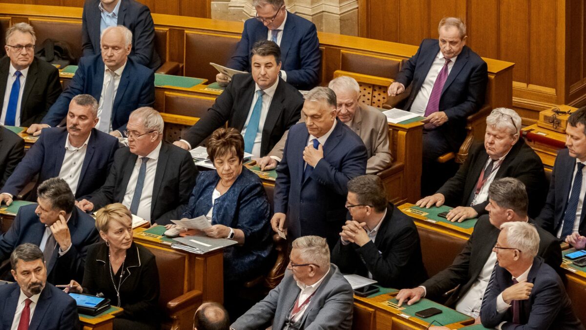 REMEKÜL FIAL A HAZAÁRULÓSDI!