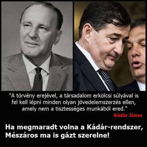 A közmondások bölcsességét mindenki ELismeri!